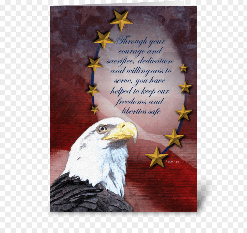 Eagles Greeting Cards Statue Of Liberty Welcome Wedding Invitation Gift PNG
