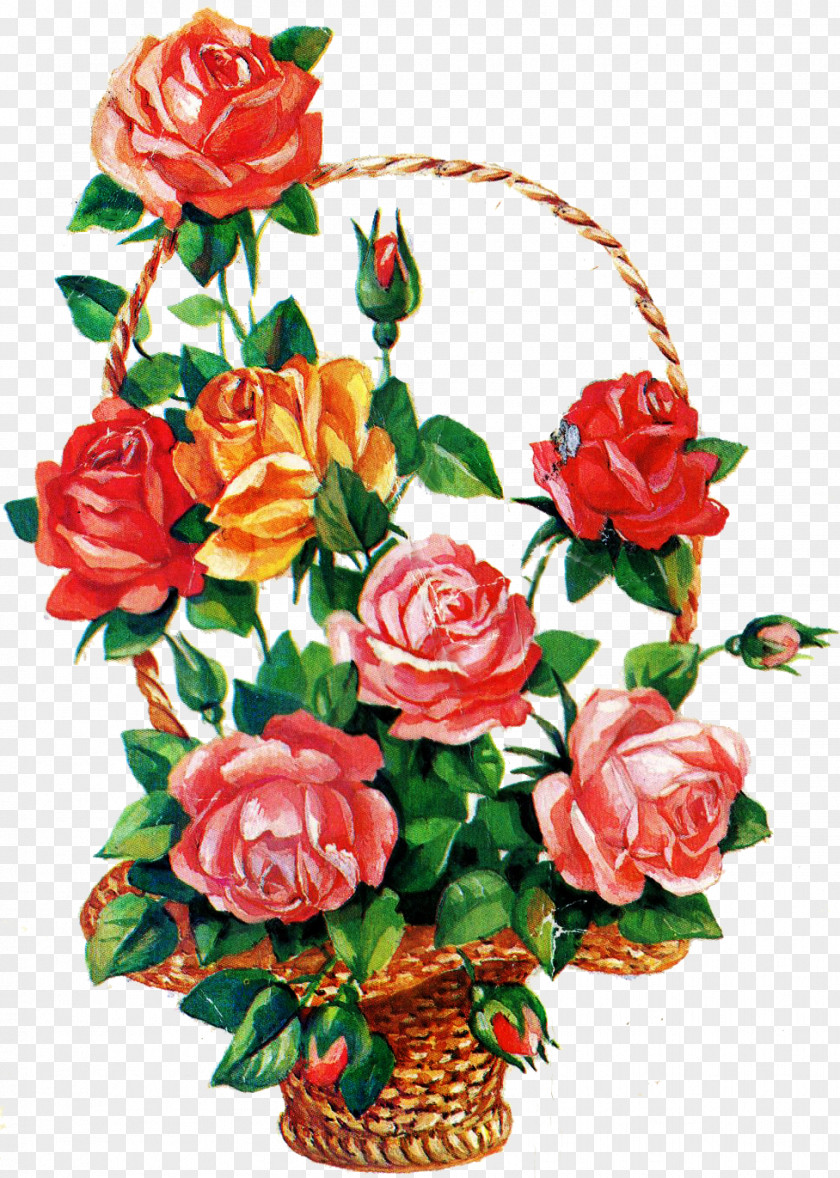 Rose Bouquet Flower Birthday Garden Roses Ansichtkaart PNG