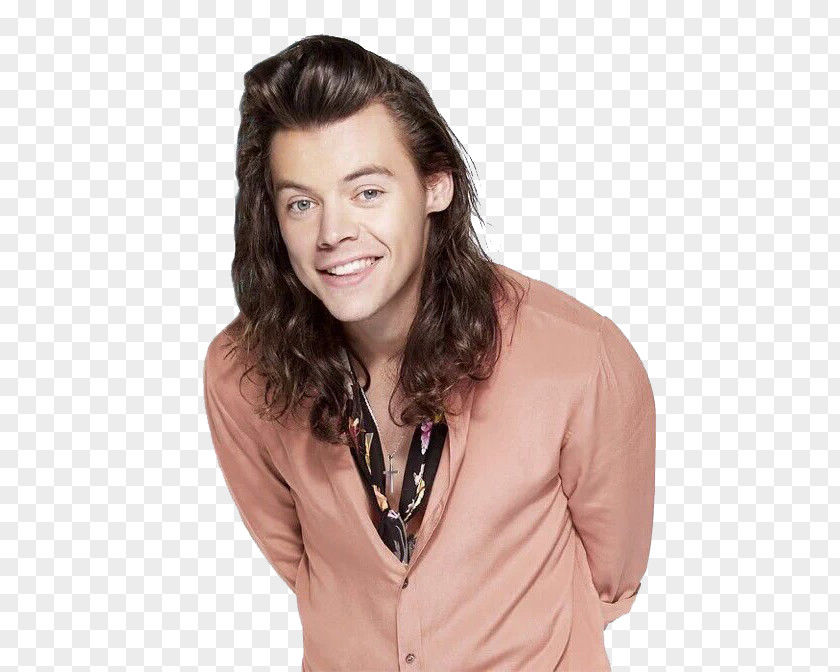 Styles Harry One Direction Singer-songwriter PNG