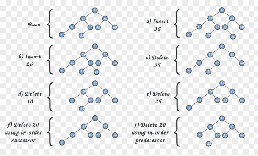 Tree Binary Number Product PNG