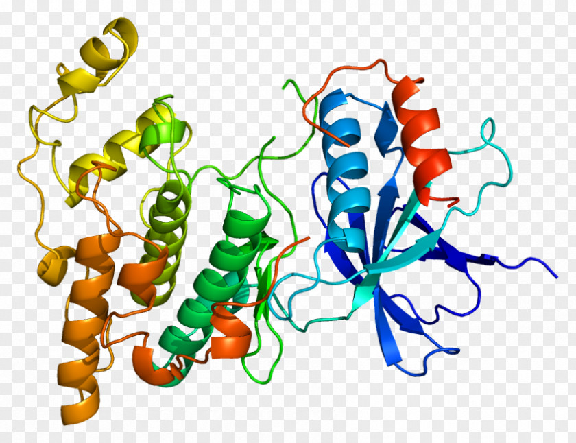C-Jun N-terminal Kinases Mitogen-activated Protein Kinase MAPK10 PNG