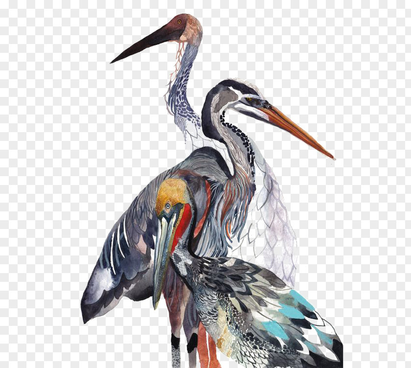 Crane Watercolor Painting Art Drawing Bird PNG