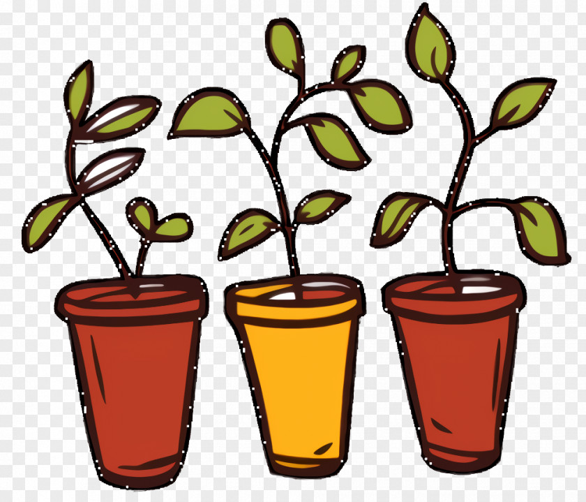 Drink Houseplant Flower Tree PNG