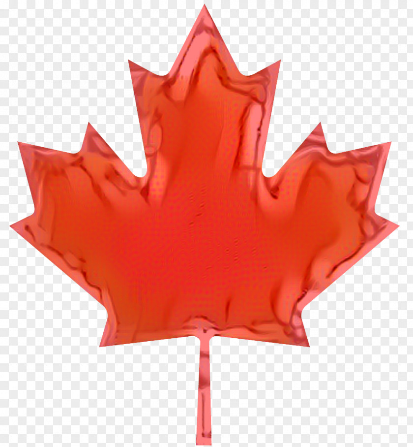 Flag Of Canada National Symbols PNG