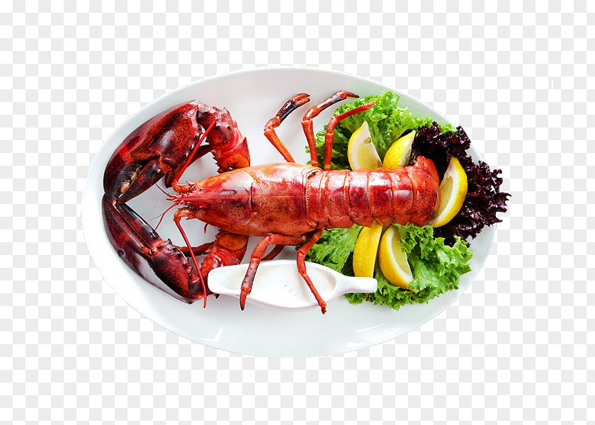 Lobster Thermidor Crayfish As Food Seafood Palinurus Elephas PNG as food elephas, Large Boston lobster clipart PNG