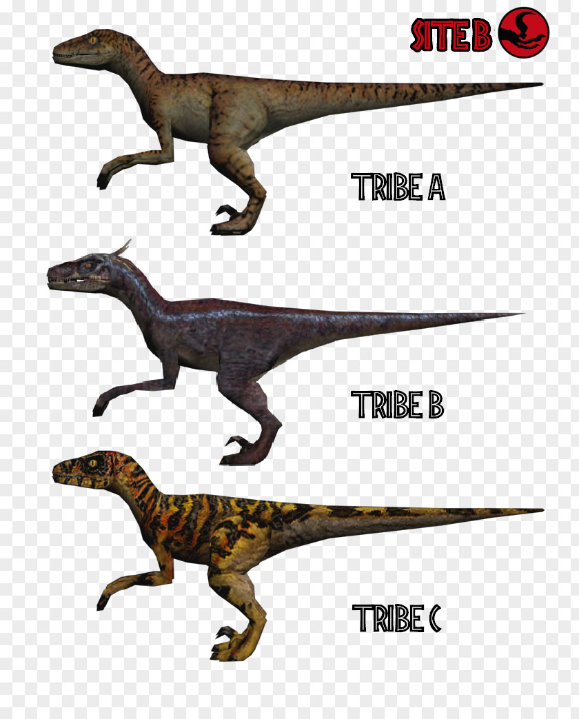 RaptorS Velociraptor Grand Theft Auto: San Andreas Tyrannosaurus Trespasser Jurassic Park: The Game PNG