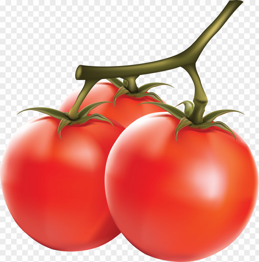 Tomato Image Capsicum PNG