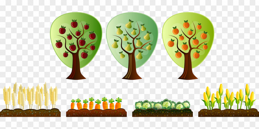 Tree Plantation Agriculture Farm Clip Art PNG