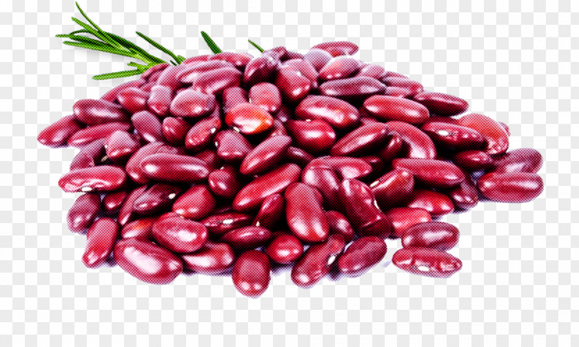 Cranberry Bean Vegetable Food Azuki Ricebean Plant PNG