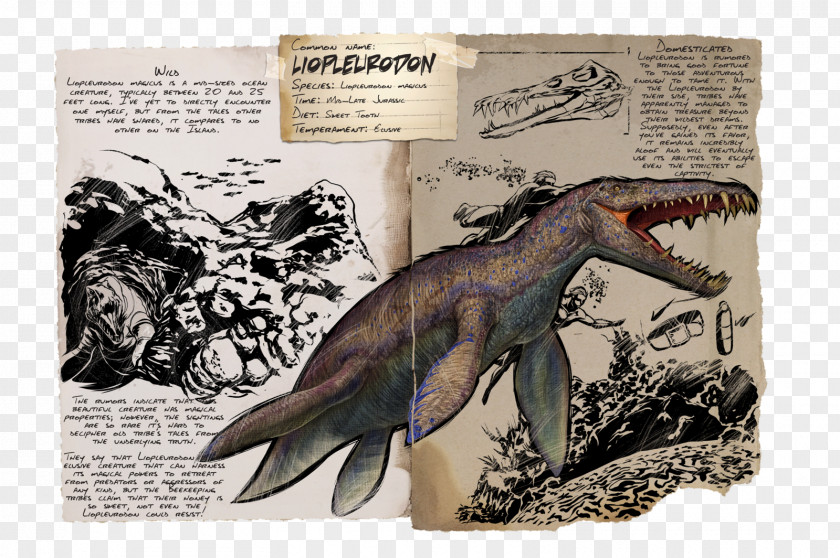 Dinosaur ARK: Survival Evolved Liopleurodon Compsognathus Kentrosaurus PNG