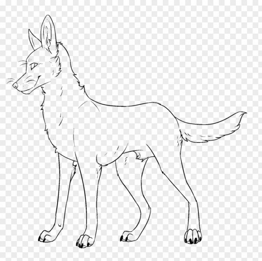 Dog Breed Line Art African Wild Saluki Drawing PNG