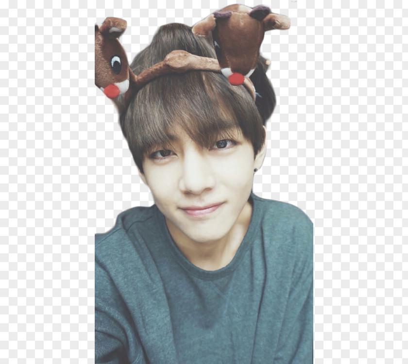 Fawn Smile BTS V PNG