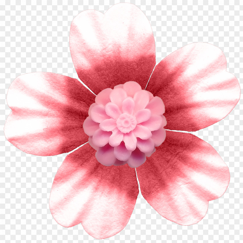Pink Flower Buttons Button Rose PNG