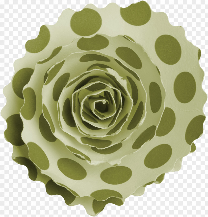 Spiral Petal Rose Pattern PNG