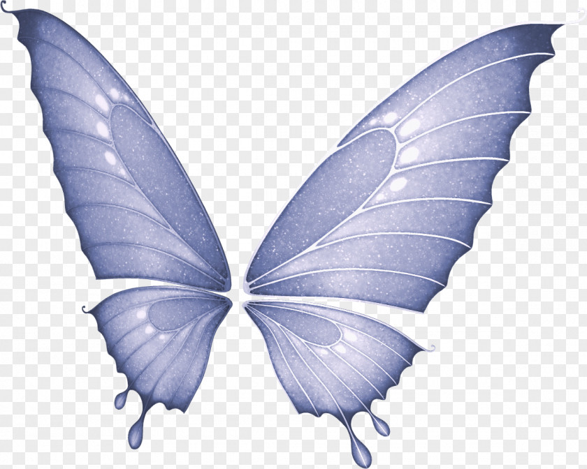 Butterfly Fairy Clip Art PNG