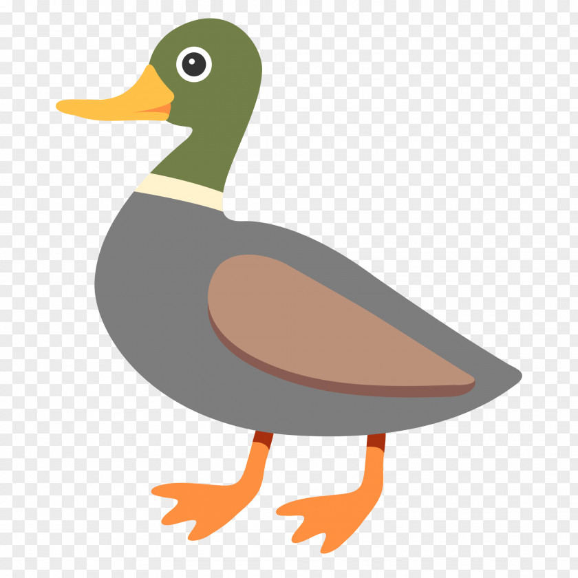 Duck Mallard Emojipedia Goose PNG