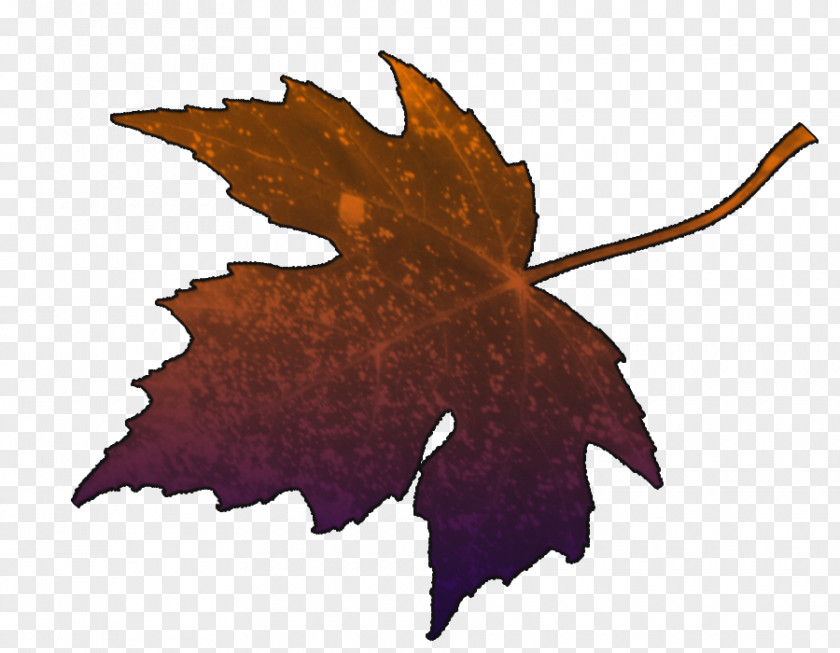 Foglie Maple Leaf PNG