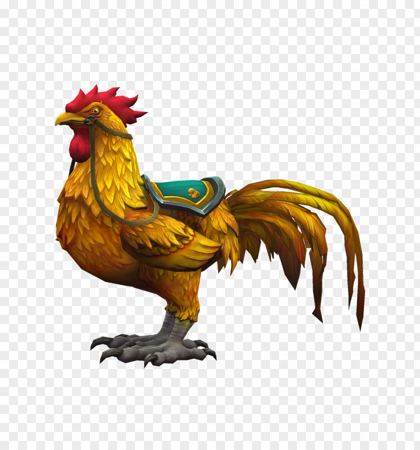 Rooster Chicken As Food Fauna Beak Feather PNG