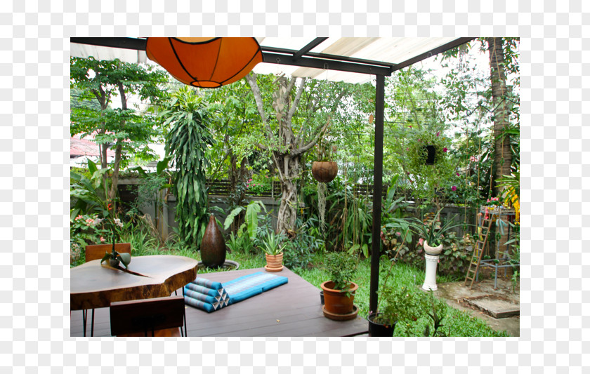 Thailand Landscape Window Majorelle Blue Garden Backyard Tree PNG