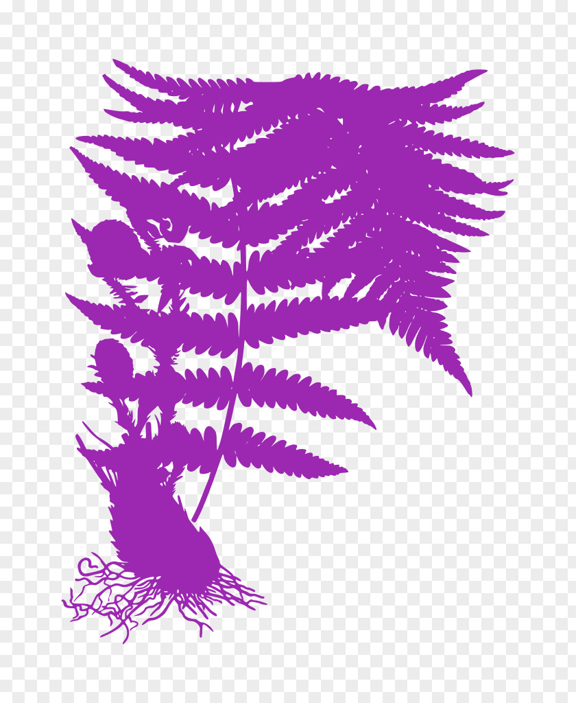 Wing Plant Feather PNG