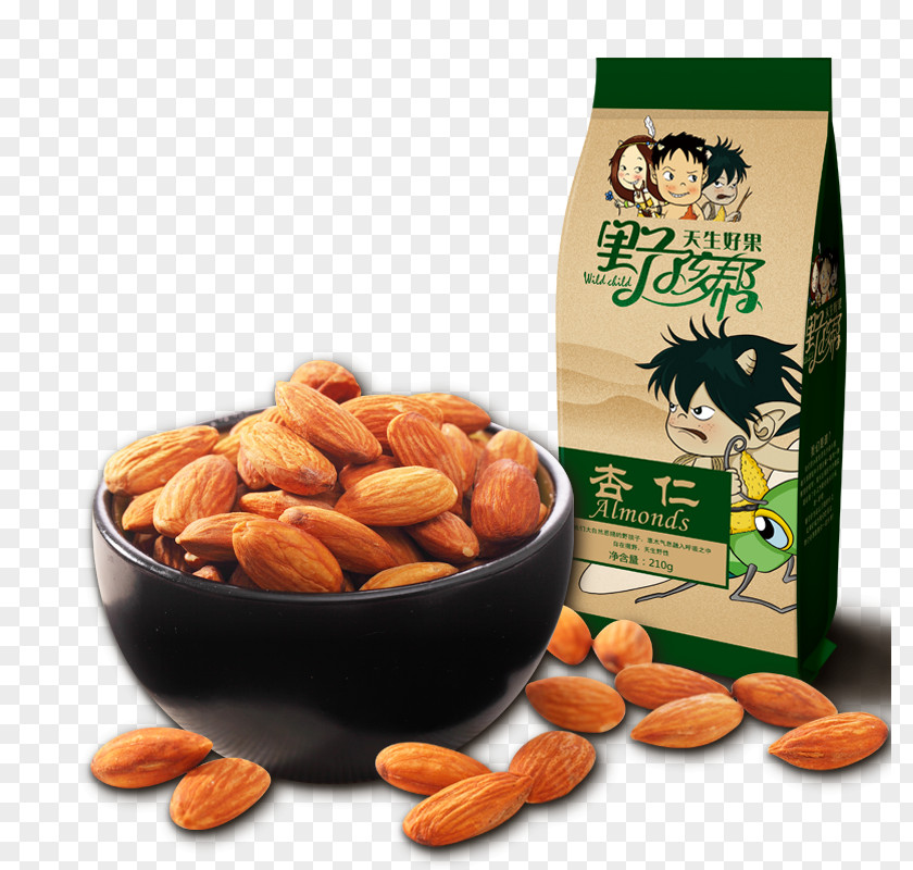 Almond Peanut Food Apricot Kernel PNG