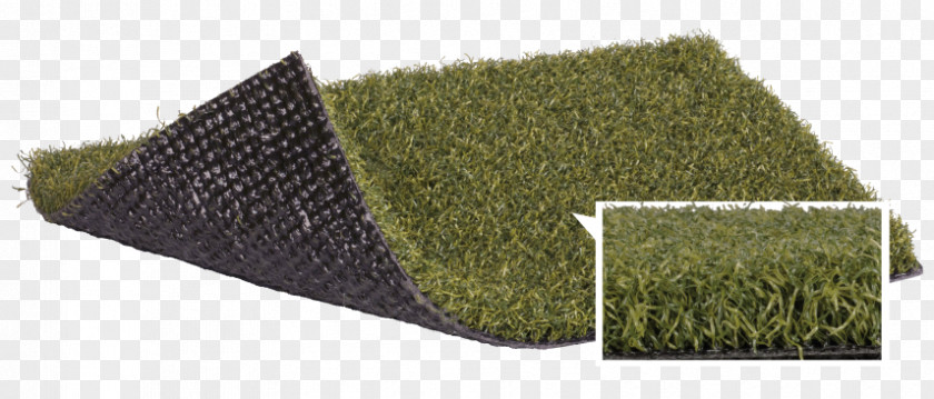 Artificial Turf Distribution Lawn FieldTurf Polytan Agrostis Stolonifera PNG