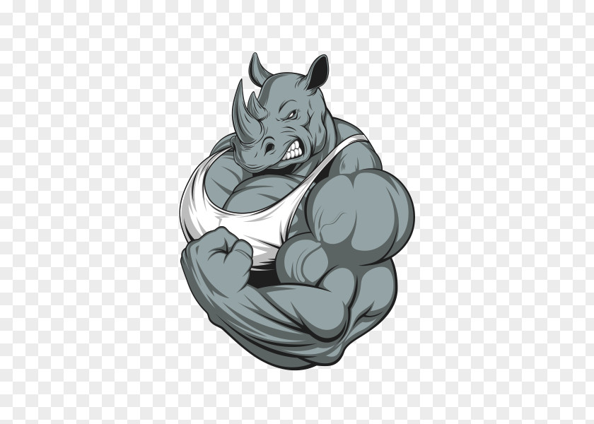 Bodybuilding Rhinoceros Fitness Centre PNG