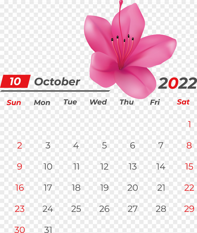 Calendar Line Font Flower Petal PNG
