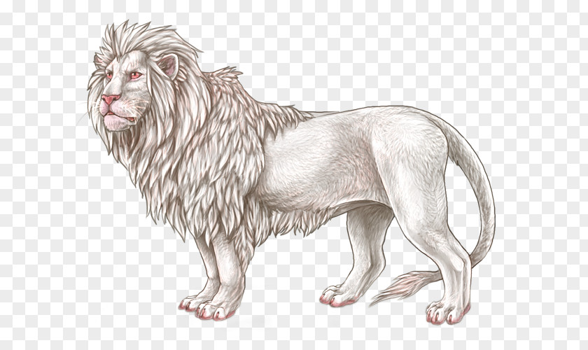 Lion Big Cat Mammal PNG