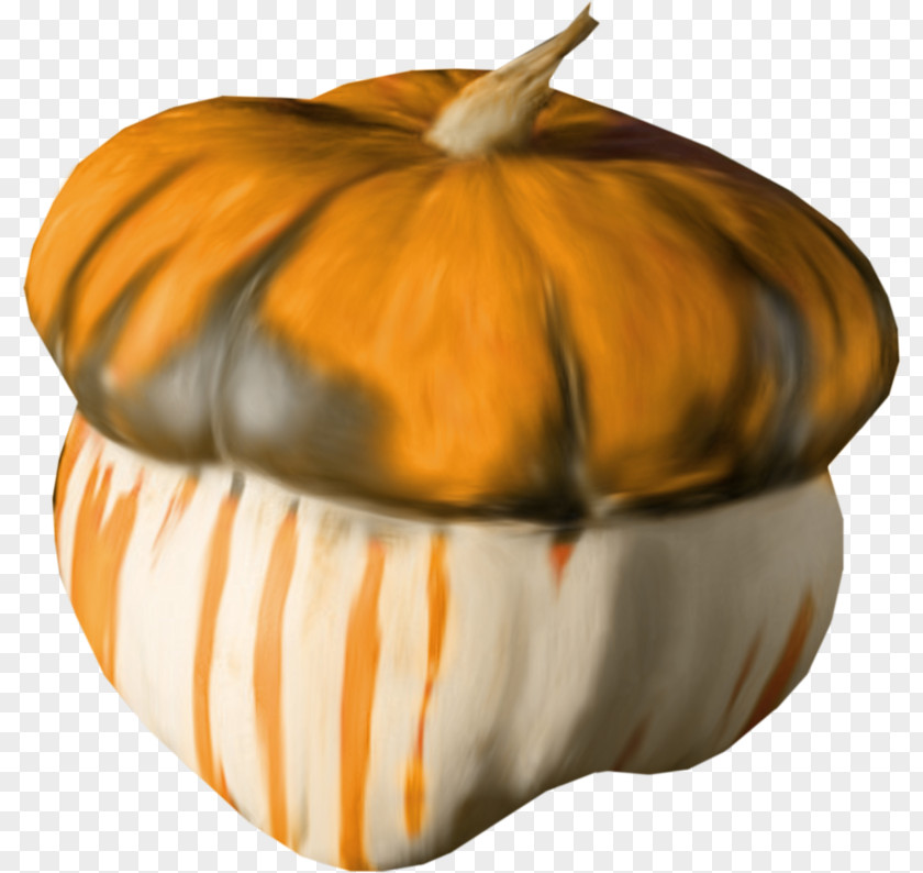Pumpkin Gourd PNG