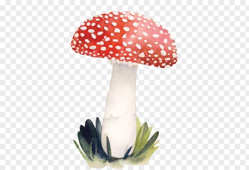 Red Mushroom Illustrator Illustration PNG