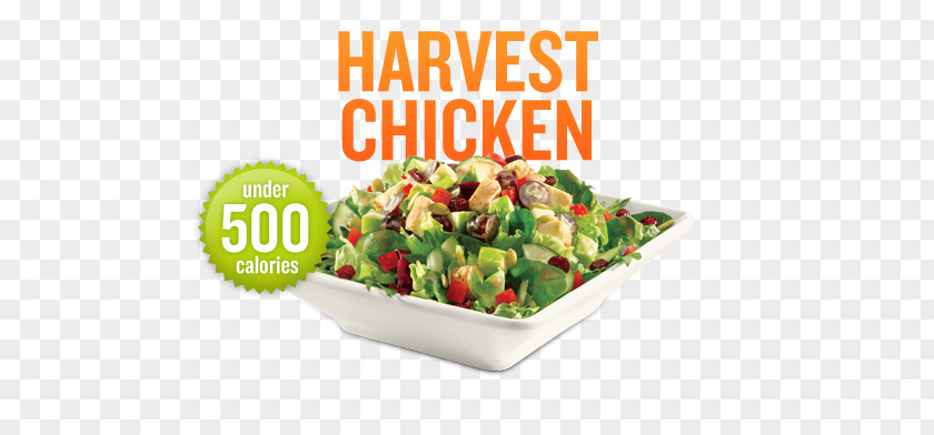 Salad Chicken Chef Submarine Sandwich Wrap Quiznos PNG
