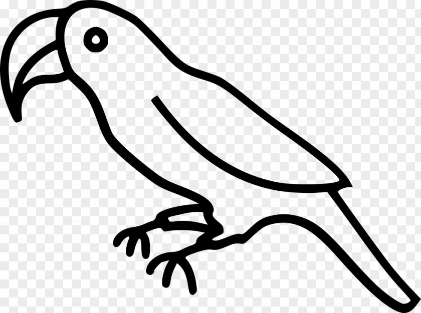 Bird Clip Art Parrot Beak PNG
