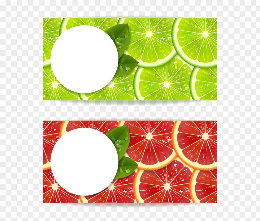 Fresh Lemon Orange Fruit Vector Material Mandarin Illustration PNG