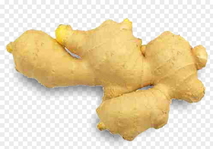 Ginger Physical Material Root Vegetables PNG