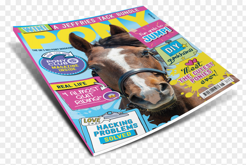 Horse PONY Magazine Snout PNG