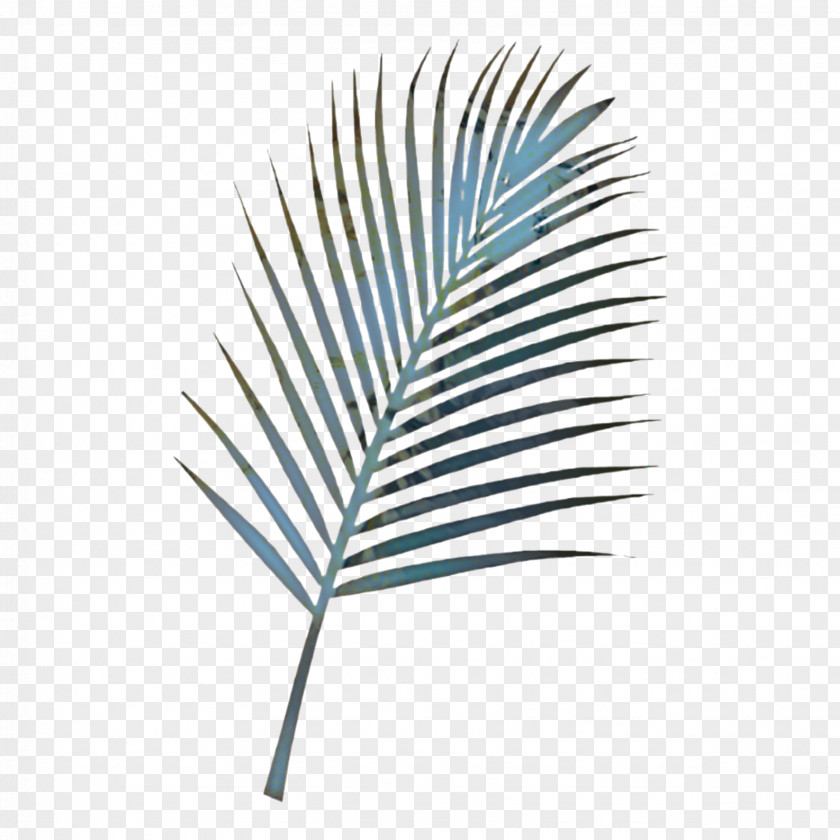 Metal Twig Palm Tree Drawing PNG