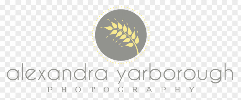 Photography Logo Brand Photographer PNG