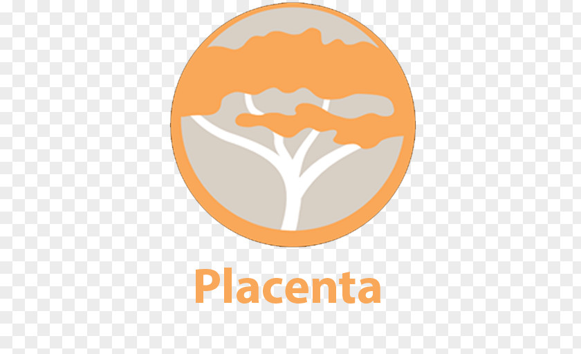 Placentation Kodi Placenta Plug-in Add-on Installation PNG