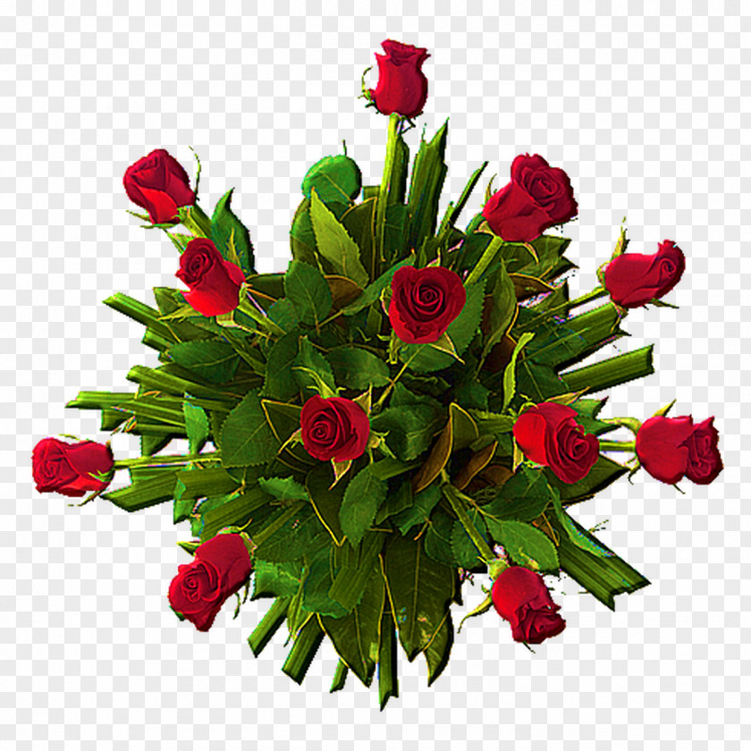 Rose Garden Roses Floral Design Flower Bouquet Cut Flowers PNG