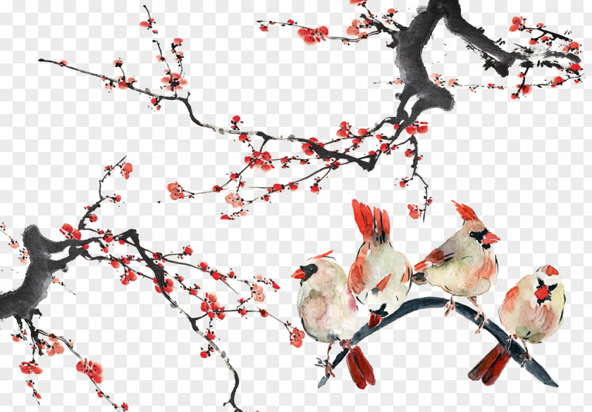 Branches Birds Bird Watercolor Painting PNG