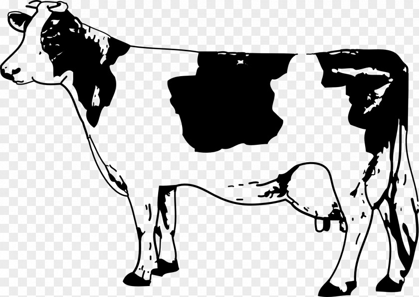 Cow Texas Longhorn Jersey Cattle Drawing Clip Art PNG