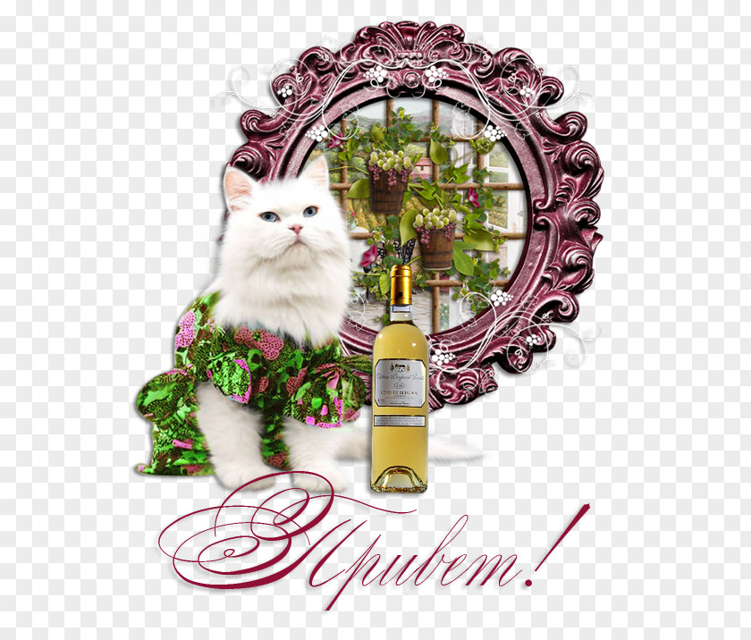 Kitten Whiskers Cat Christmas Ornament Floral Design PNG