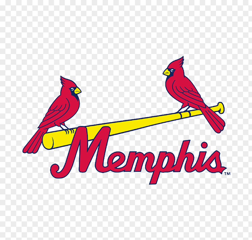 Baseball 1998 St. Louis Cardinals Season Memphis Redbirds Busch Stadium 2011 Major League PNG