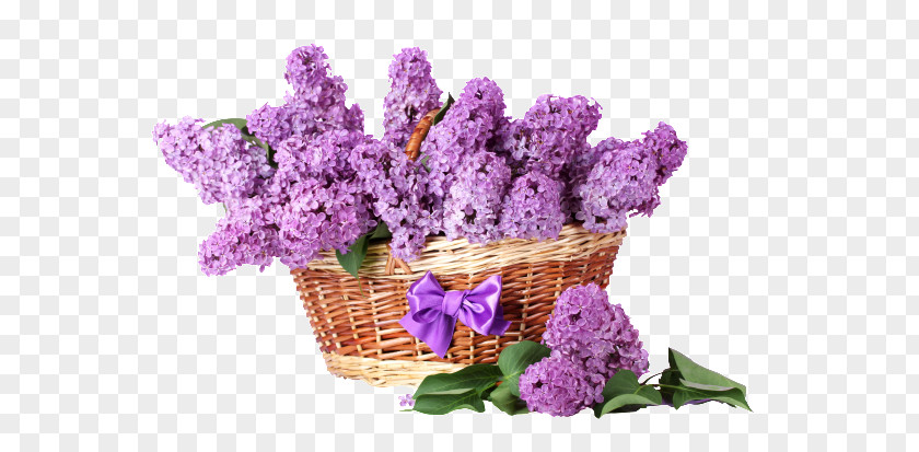 Basket Of Flowers Cut Lilac Purple PNG