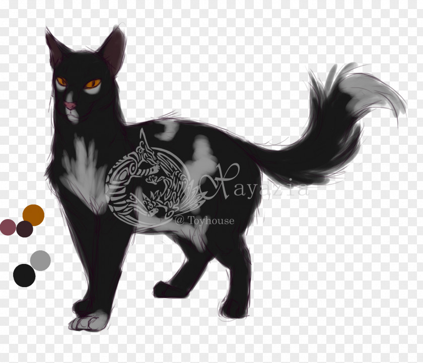 Cat Whiskers Illustration Paw PNG