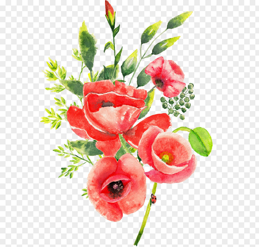 Flower Floral Design Cut Flowers Watercolor Painting PNG