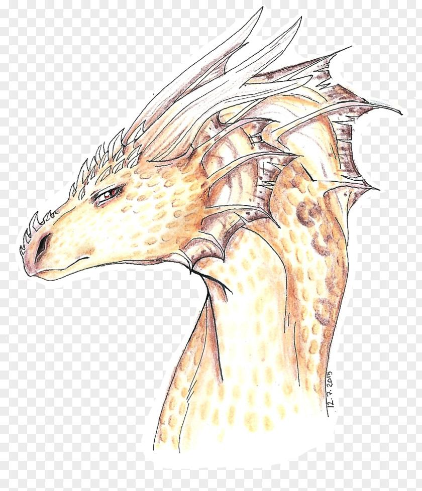 Giraffe Dragon Jaw Sketch PNG