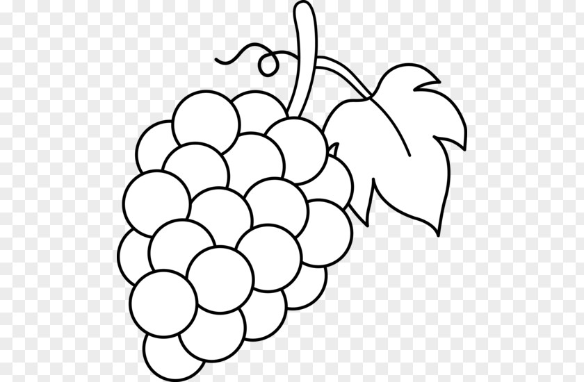Grapes Drawing Common Grape Vine Wine Juice Clip Art PNG