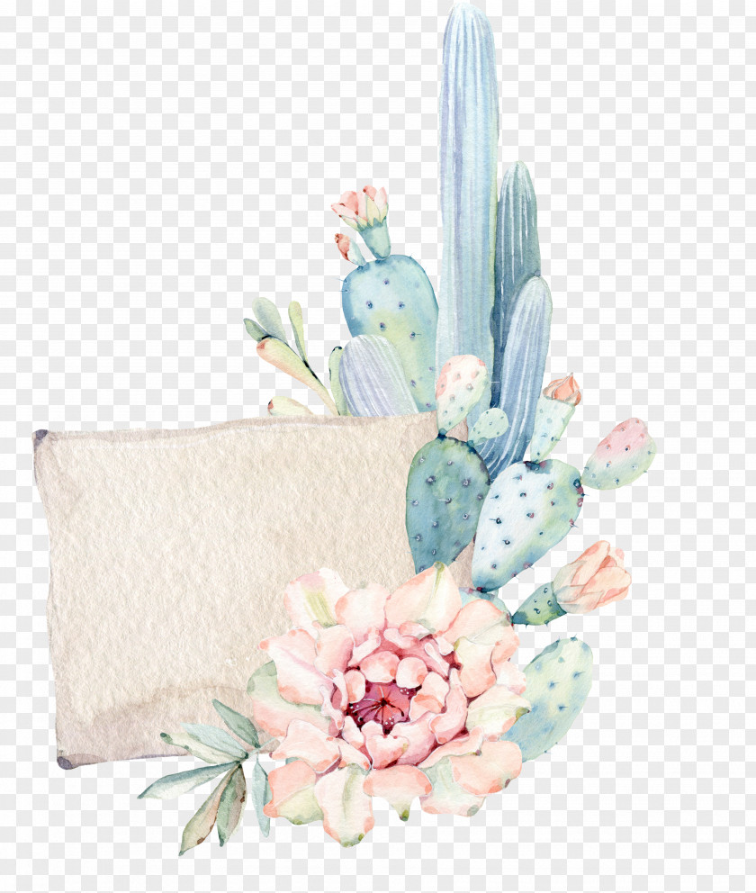 Hand Painted Cactus Cactaceae Succulent Plant Watercolor Painting Textile PNG